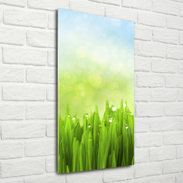 Print on acrylic glass Grass