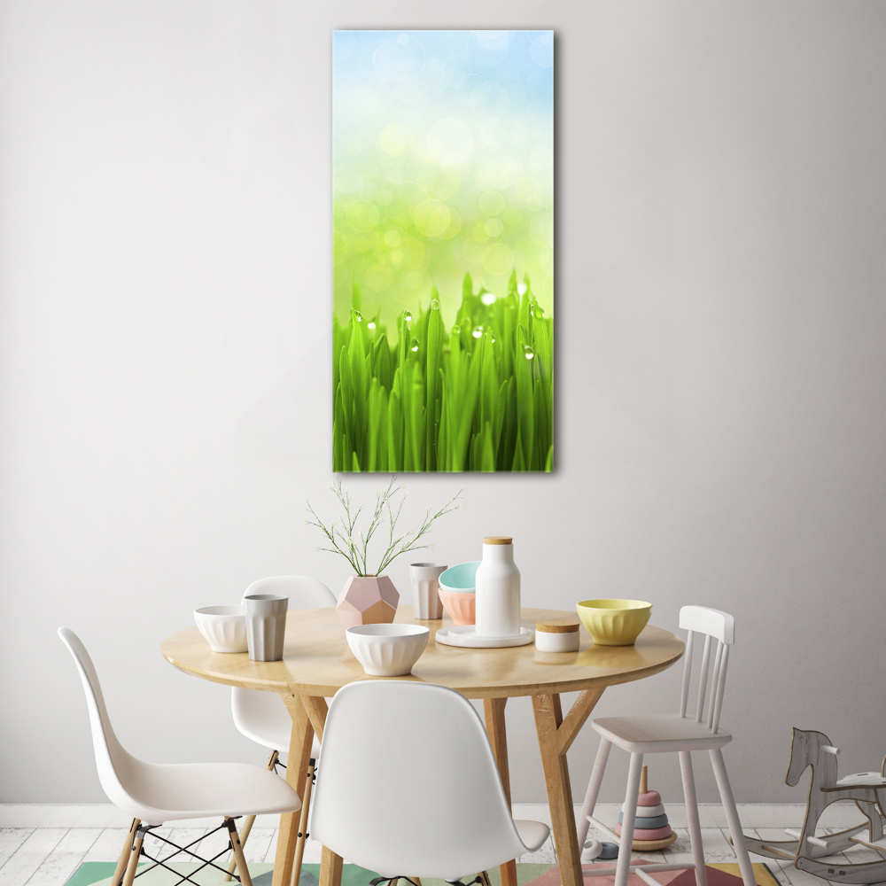 Print on acrylic glass Grass