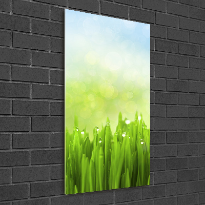 Print on acrylic glass Grass