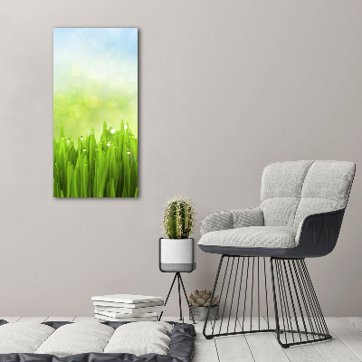 Print on acrylic glass Grass