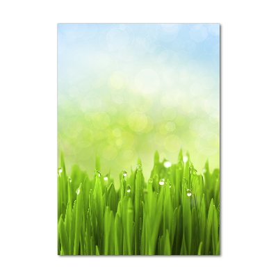 Print on acrylic glass Grass