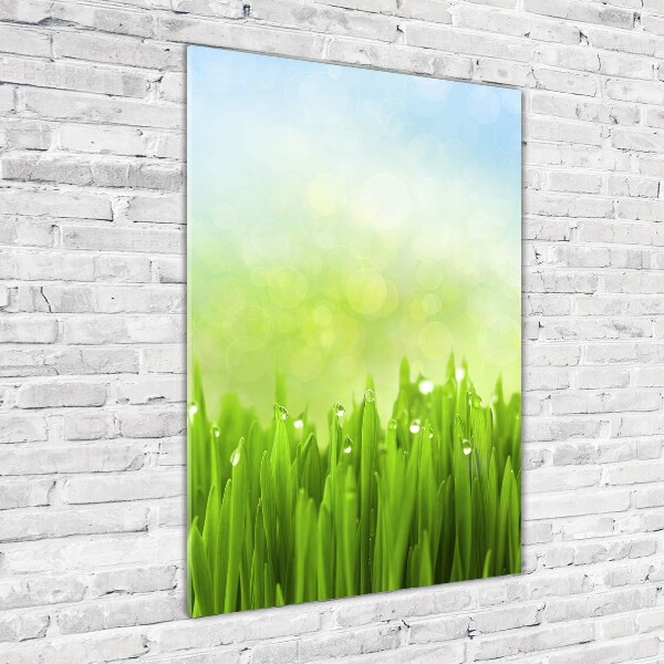 Print on acrylic glass Grass