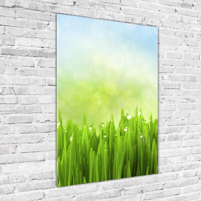 Print on acrylic glass Grass