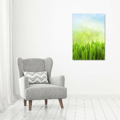 Print on acrylic glass Grass