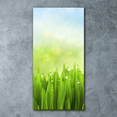 Print on acrylic glass Grass