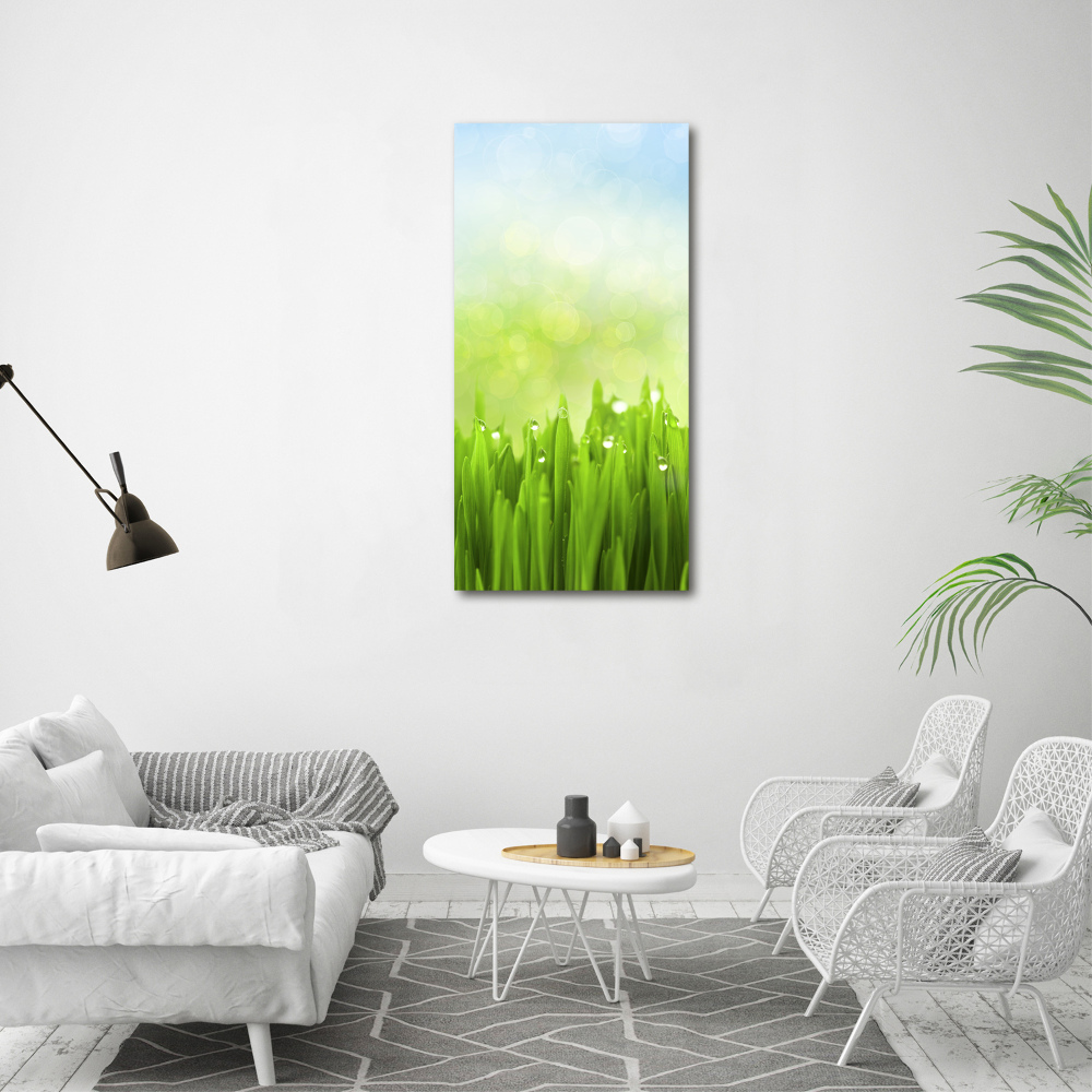 Print on acrylic glass Grass