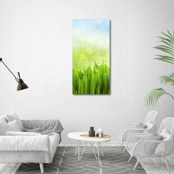 Print on acrylic glass Grass