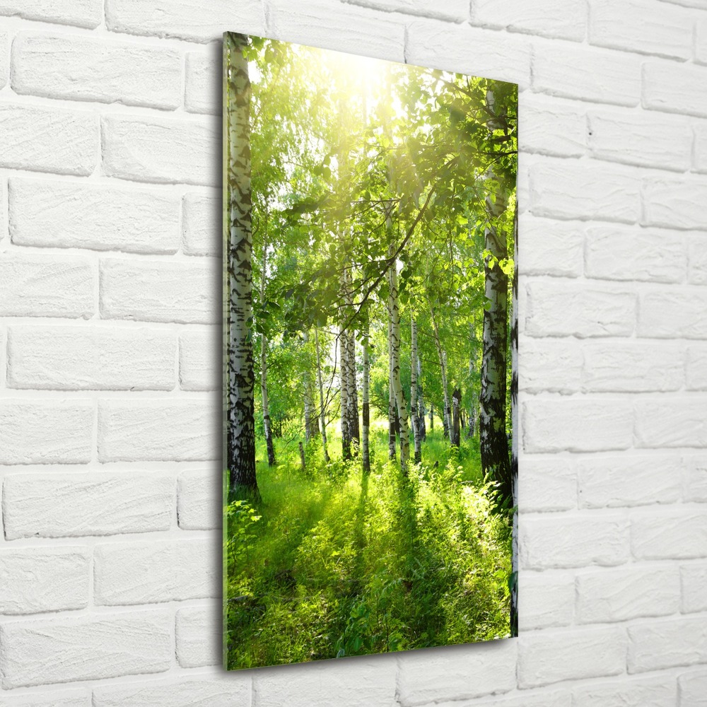 Print on acrylic Birch forest