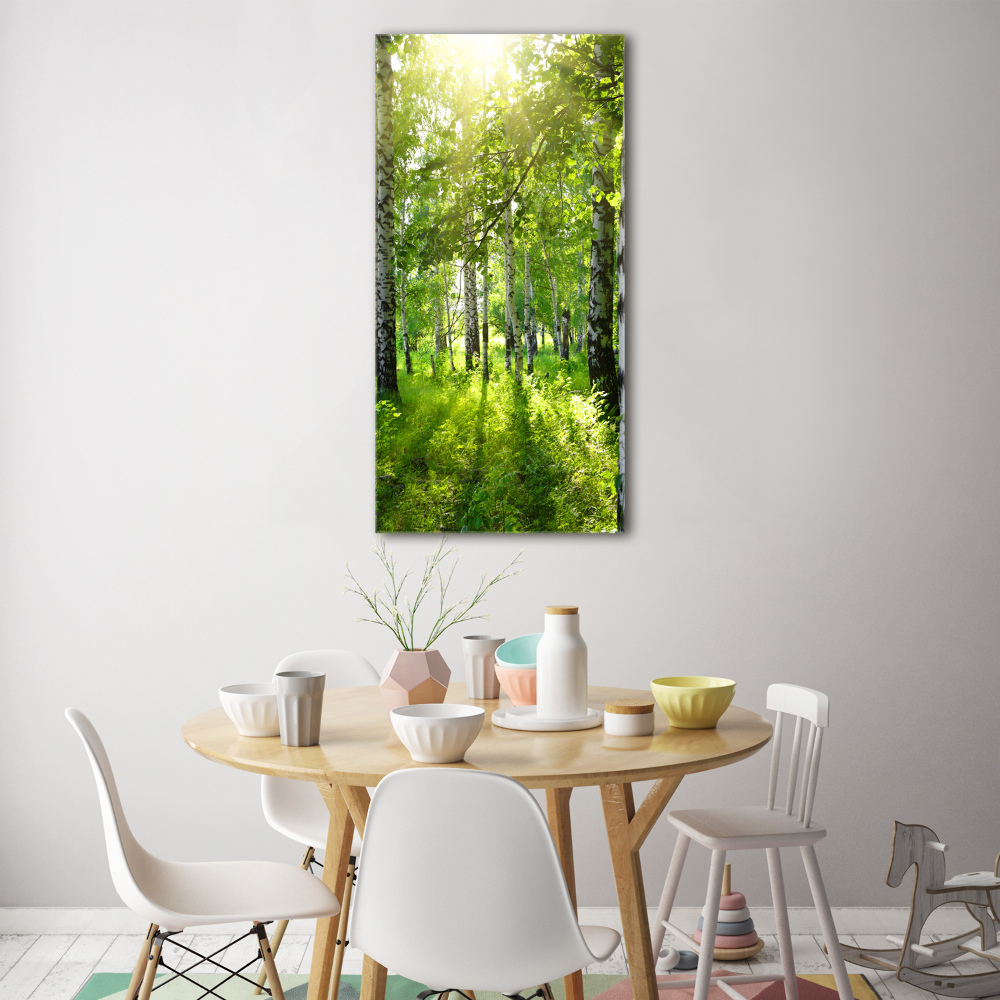 Print on acrylic Birch forest