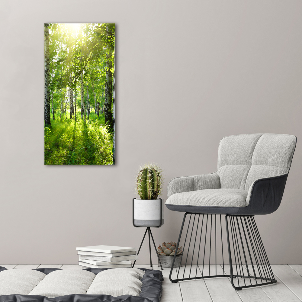 Print on acrylic Birch forest