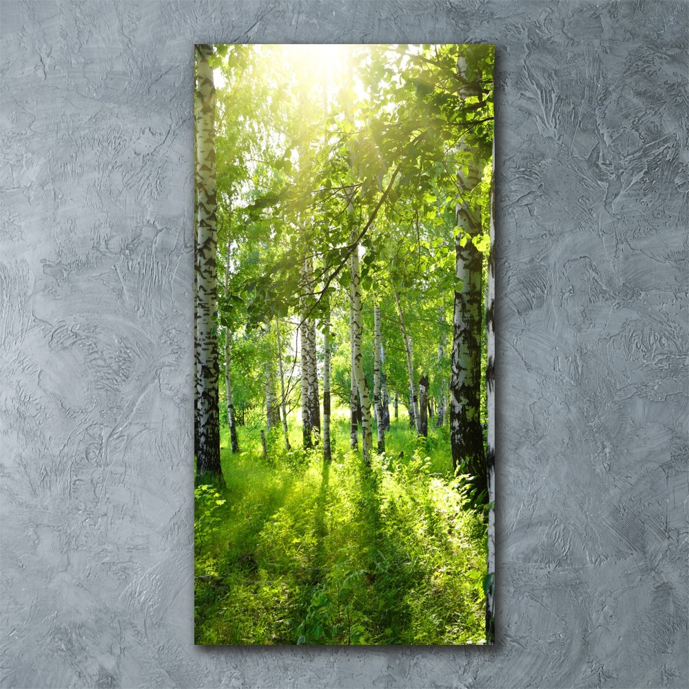 Print on acrylic Birch forest