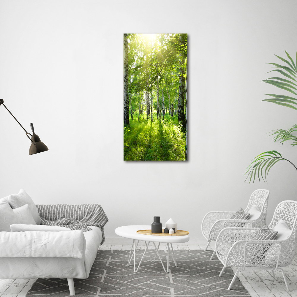 Print on acrylic Birch forest