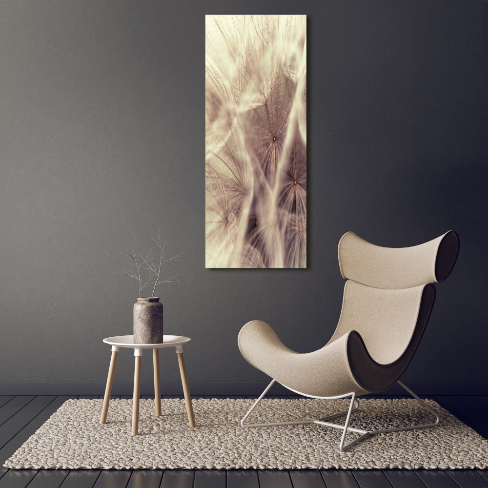 Acrylic print Dandelion