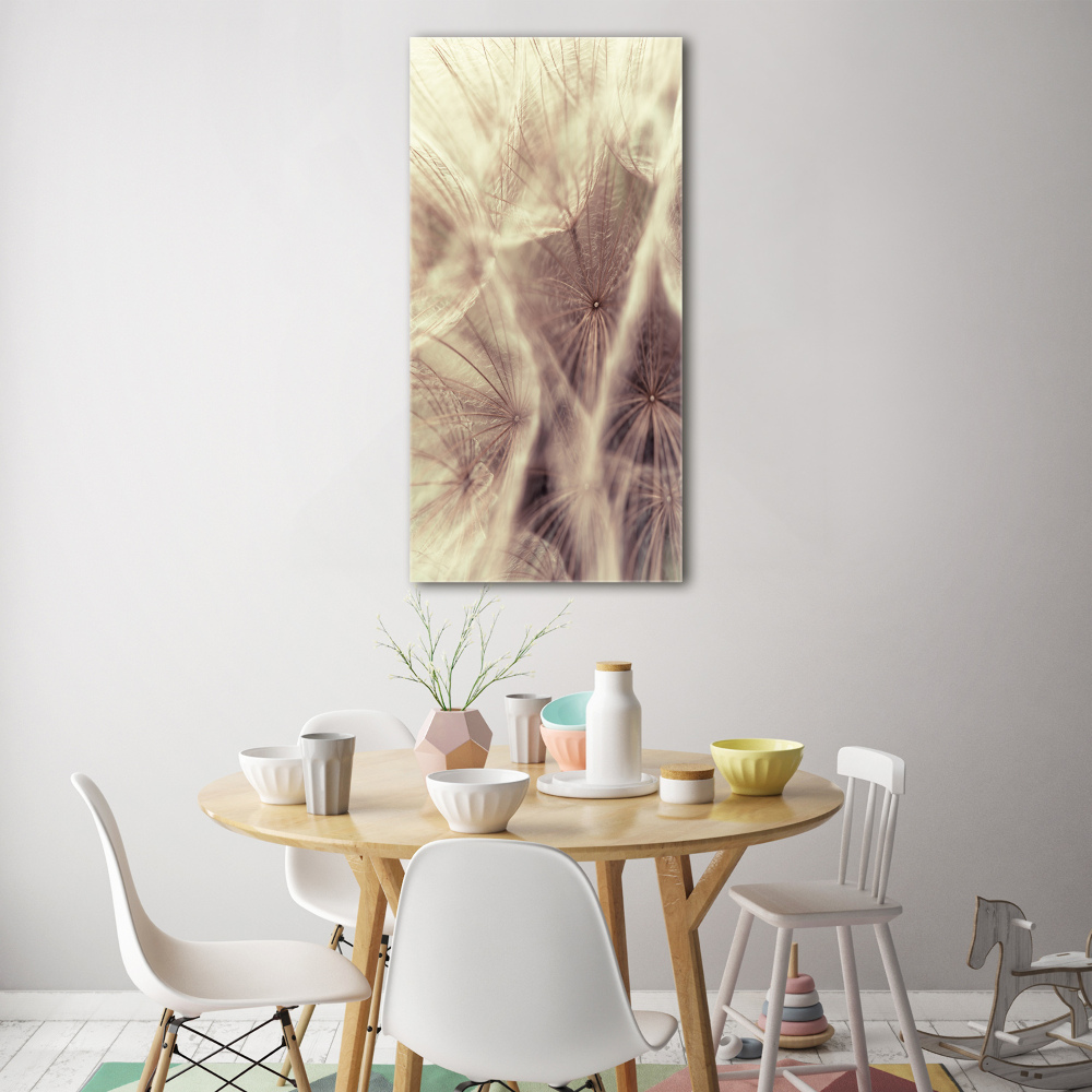 Acrylic print Dandelion