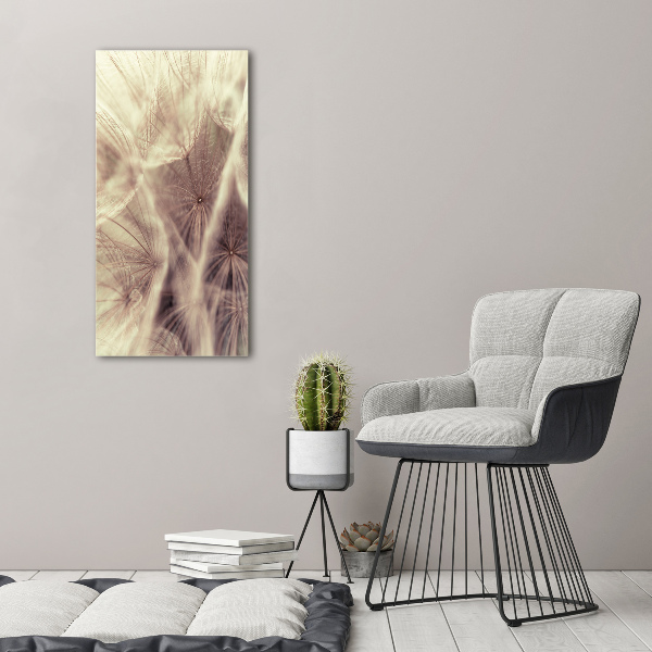 Acrylic print Dandelion