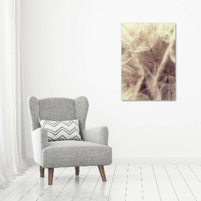 Acrylic print Dandelion