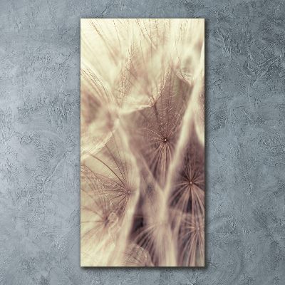 Acrylic print Dandelion