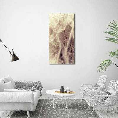 Acrylic print Dandelion