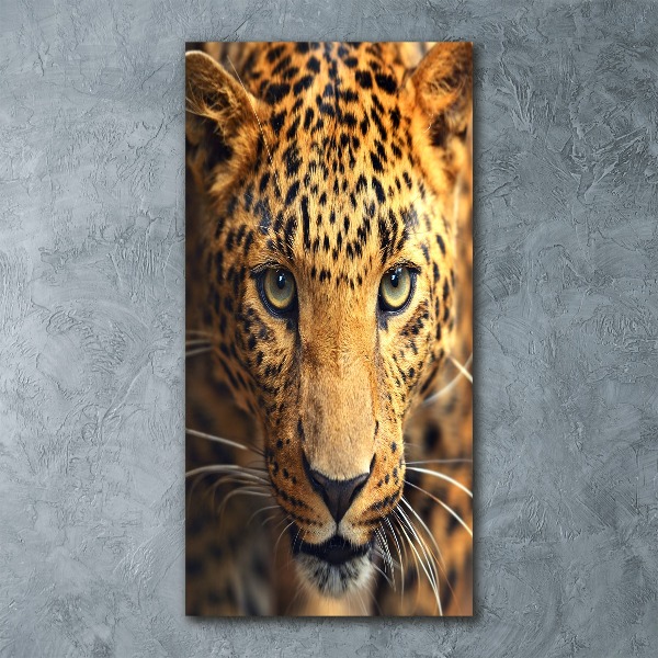 Print on acrylic glass leopard