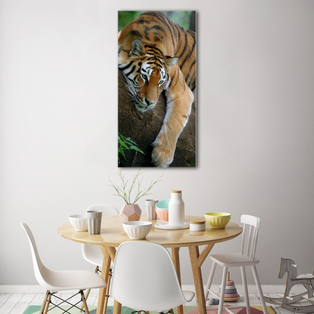 Acrylic print Tiger on a tree