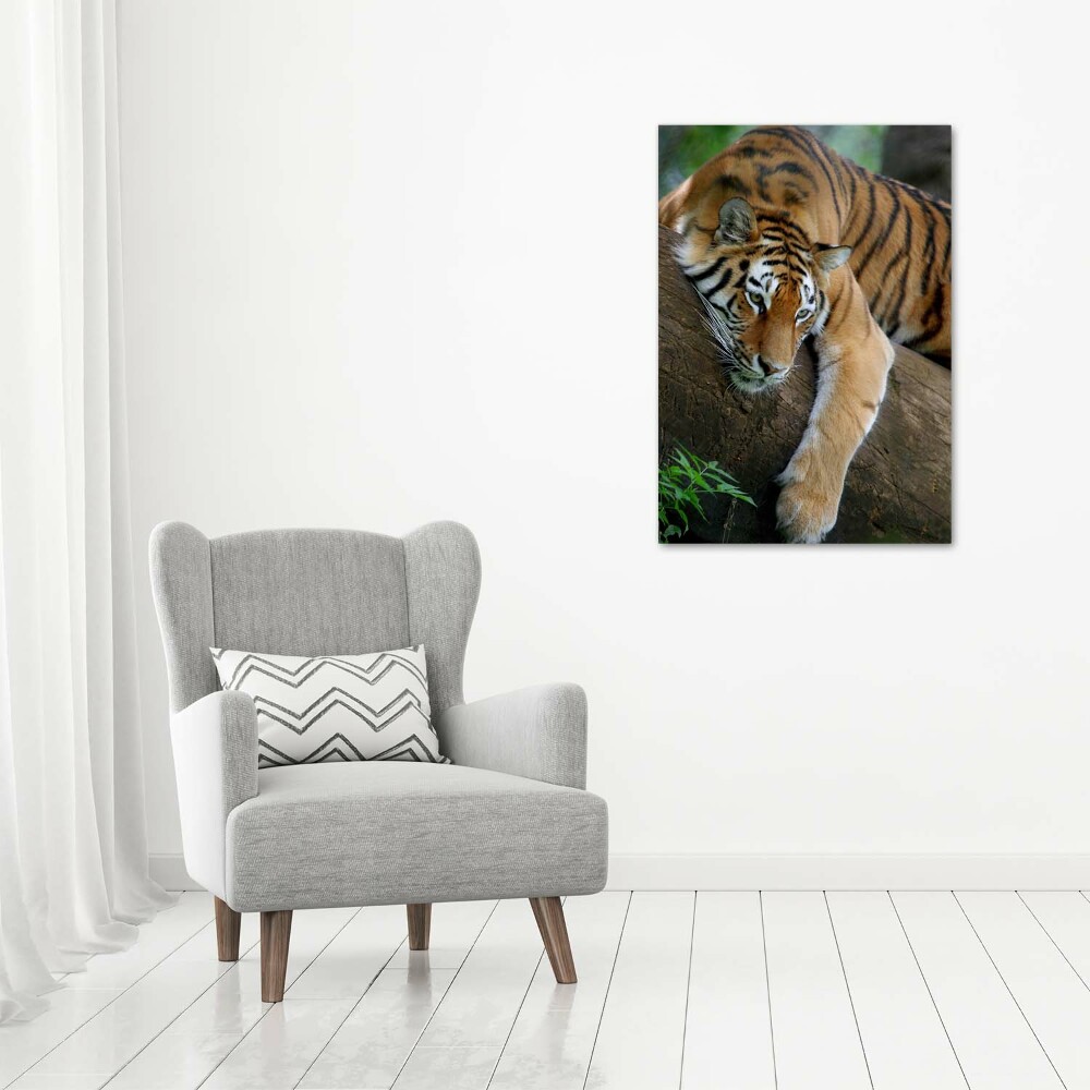 Acrylic print Tiger on a tree