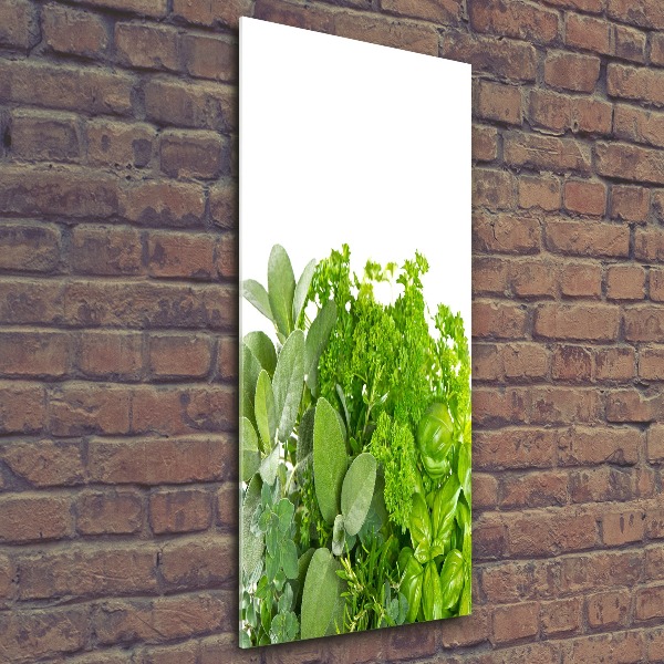 Print on acrylic Herbs