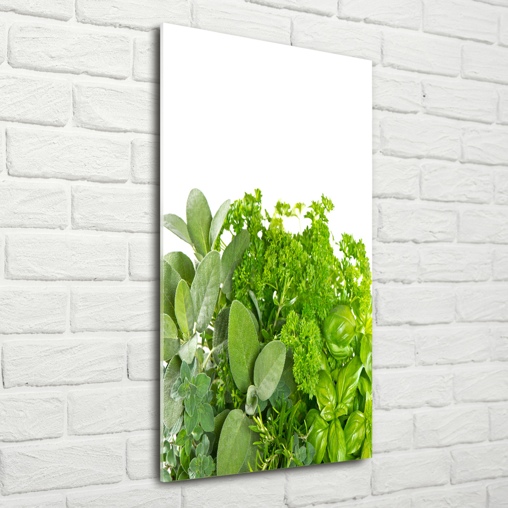 Print on acrylic Herbs