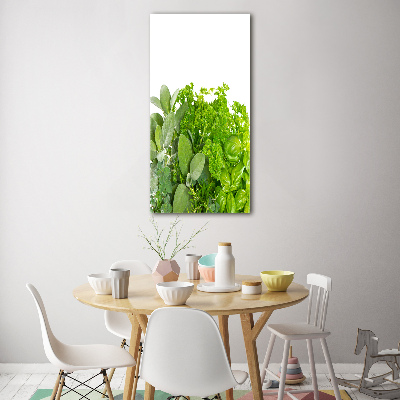 Print on acrylic Herbs