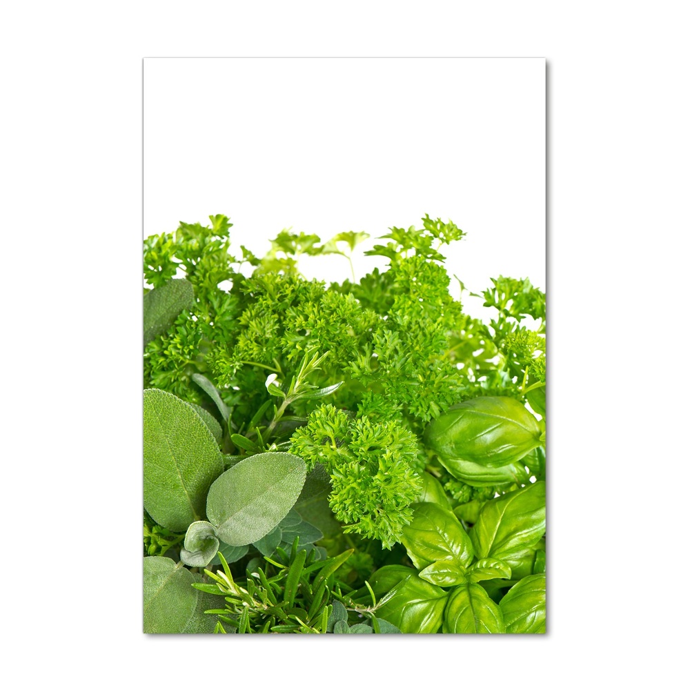 Print on acrylic Herbs