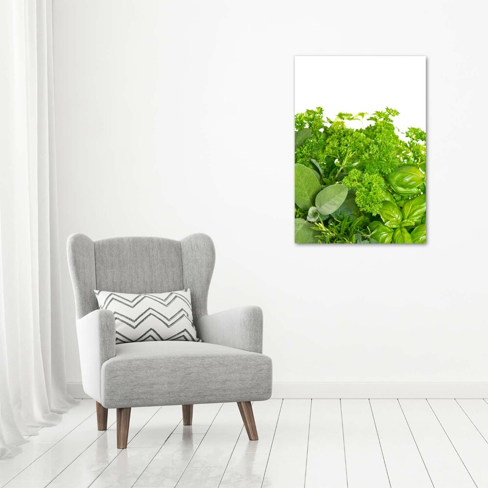 Print on acrylic Herbs