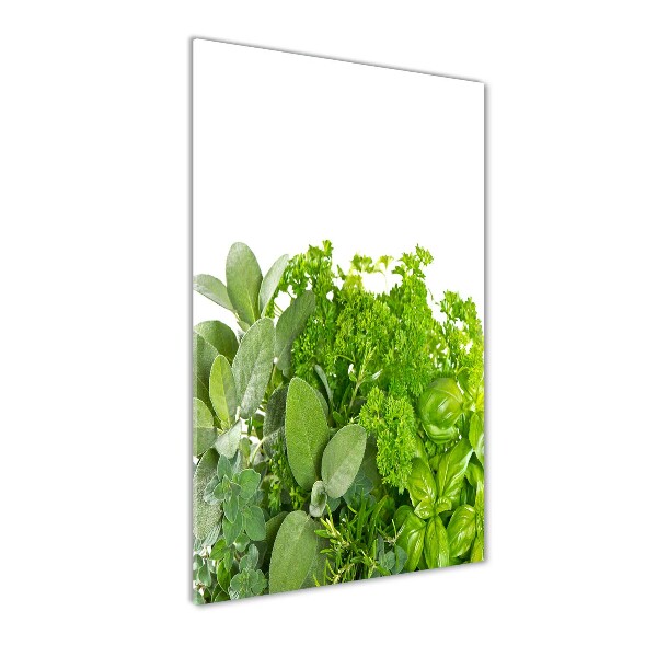 Print on acrylic Herbs