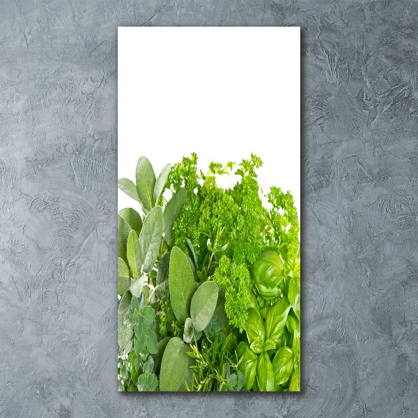 Print on acrylic Herbs