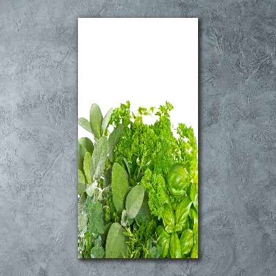 Print on acrylic Herbs