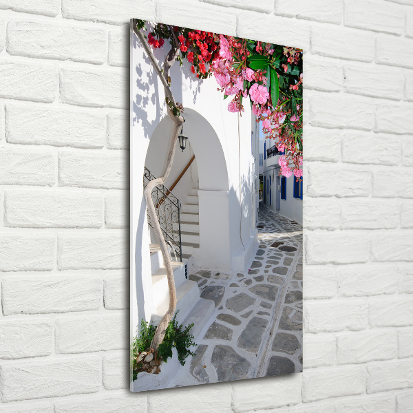 Acrylic glass print Greek village