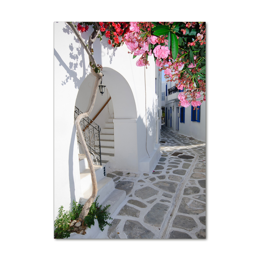 Acrylic glass print Greek village