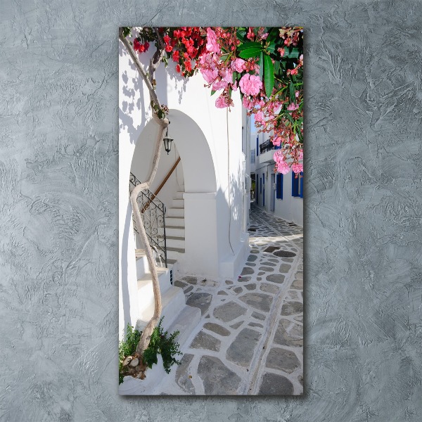 Acrylic glass print Greek village