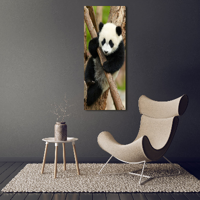 Acrylic print Panda on a tree