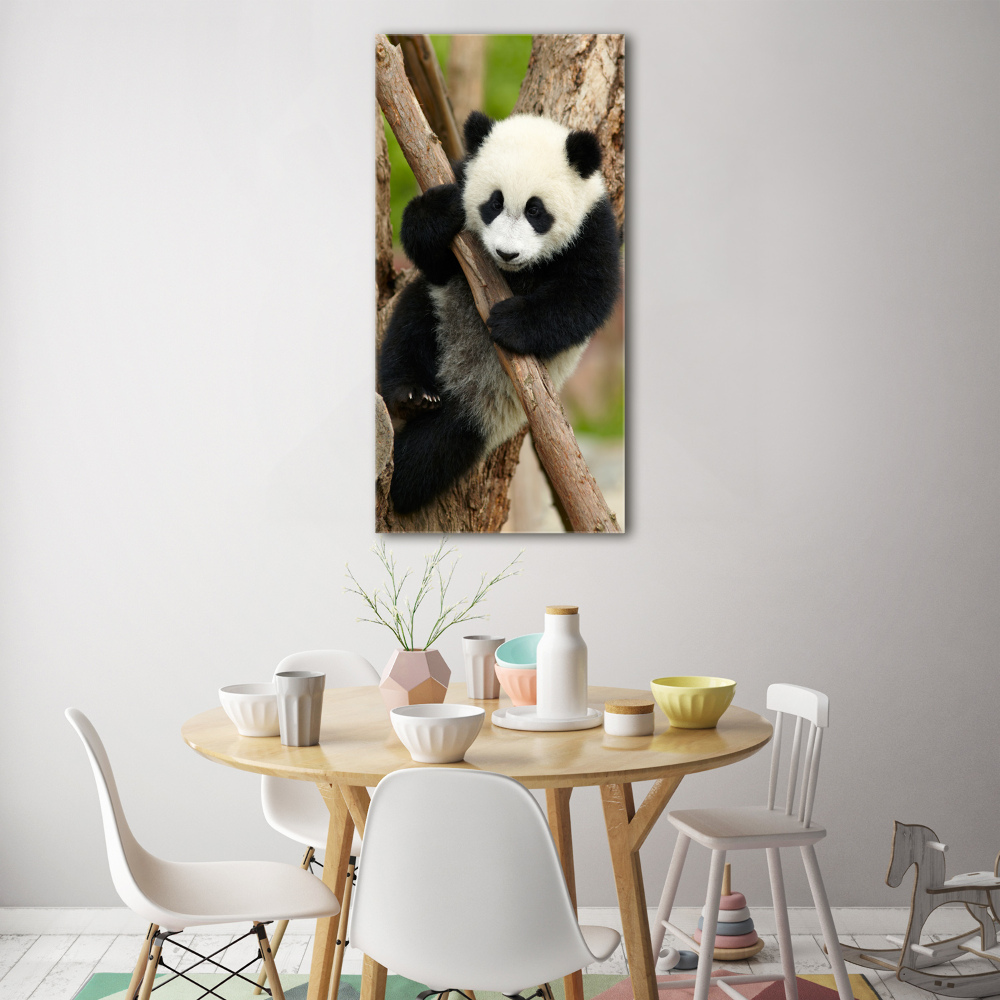 Acrylic print Panda on a tree