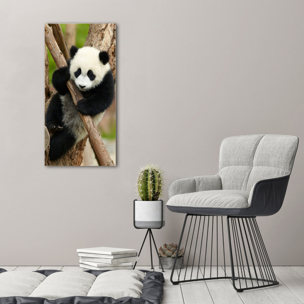 Acrylic print Panda on a tree