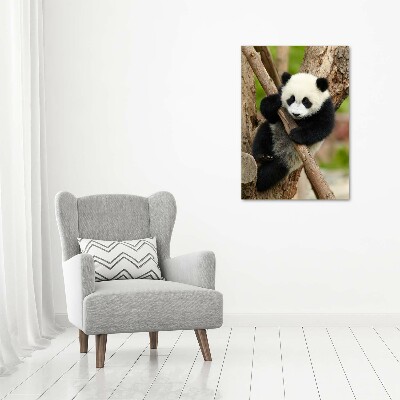 Acrylic print Panda on a tree