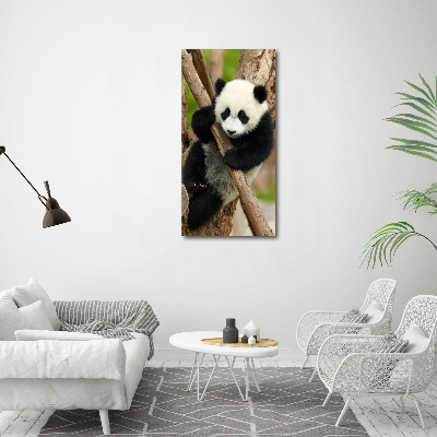 Acrylic print Panda on a tree