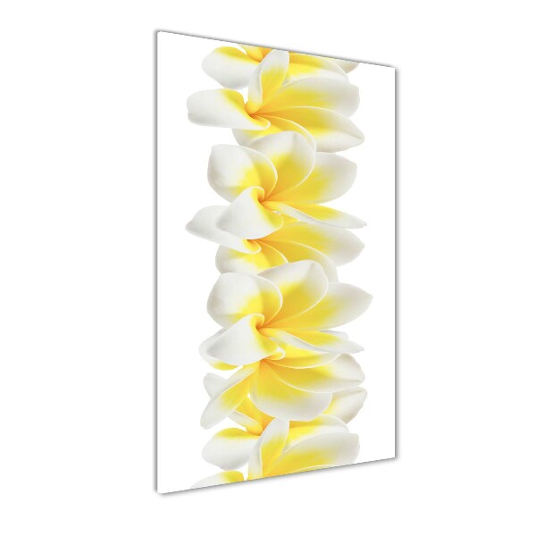 Acrylic print Plumeria