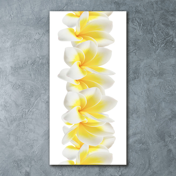 Acrylic print Plumeria