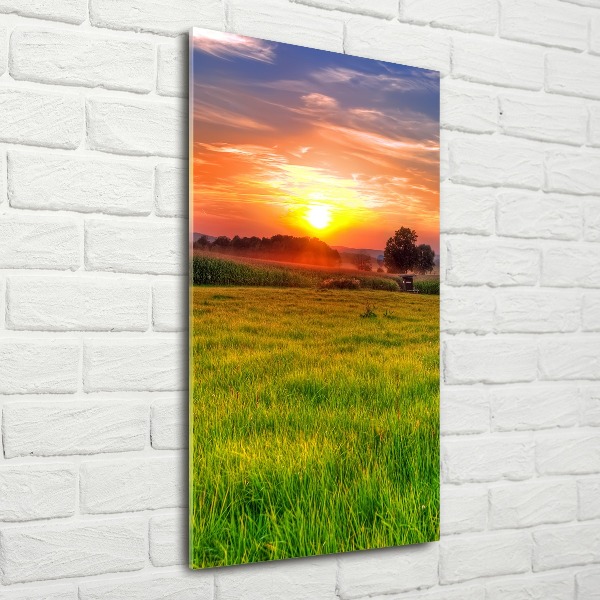 Acrylic print Sunset