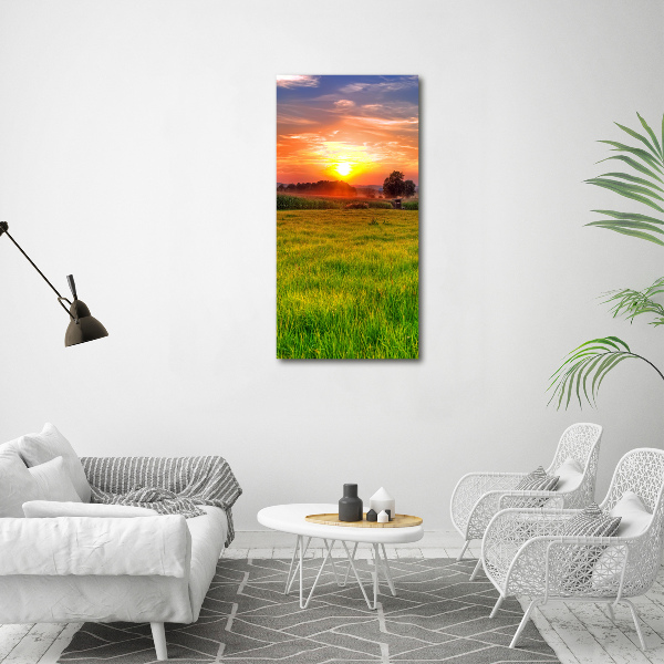 Acrylic print Sunset