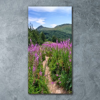 Acrylic print Bieszczady Mountains