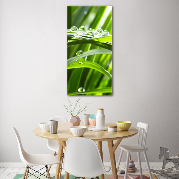 Print on acrylic Blade of grass