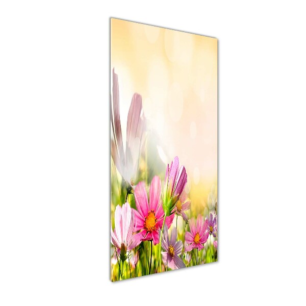 Print on acrylic Field flowers