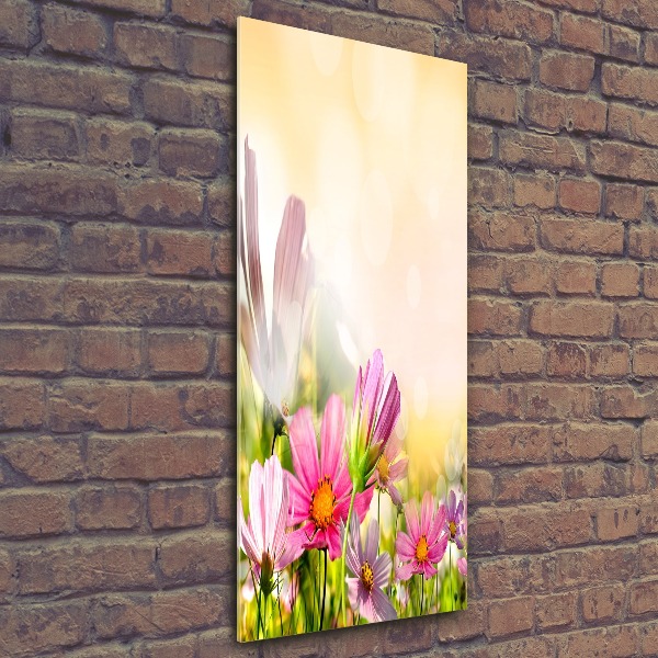 Print on acrylic Field flowers