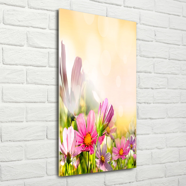 Print on acrylic Field flowers